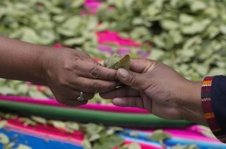 La Jornada Maya Internacional Afp Bolivianos Se Re Nen En Masa