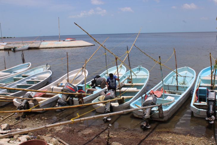 La Jornada Maya Campeche La Jornada Maya Actualizaciones Y