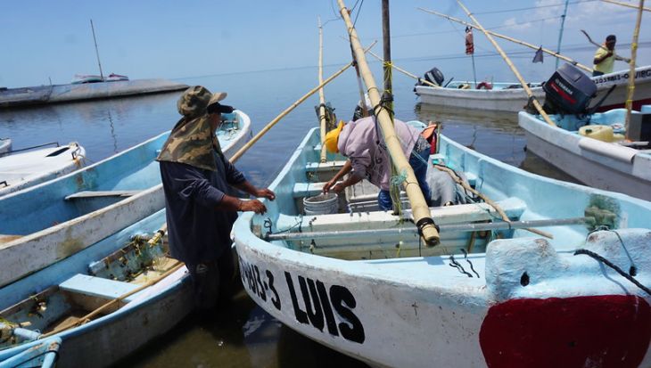 La Jornada Maya Yucat N Jairo Maga A Pescadores De Seybaplaya