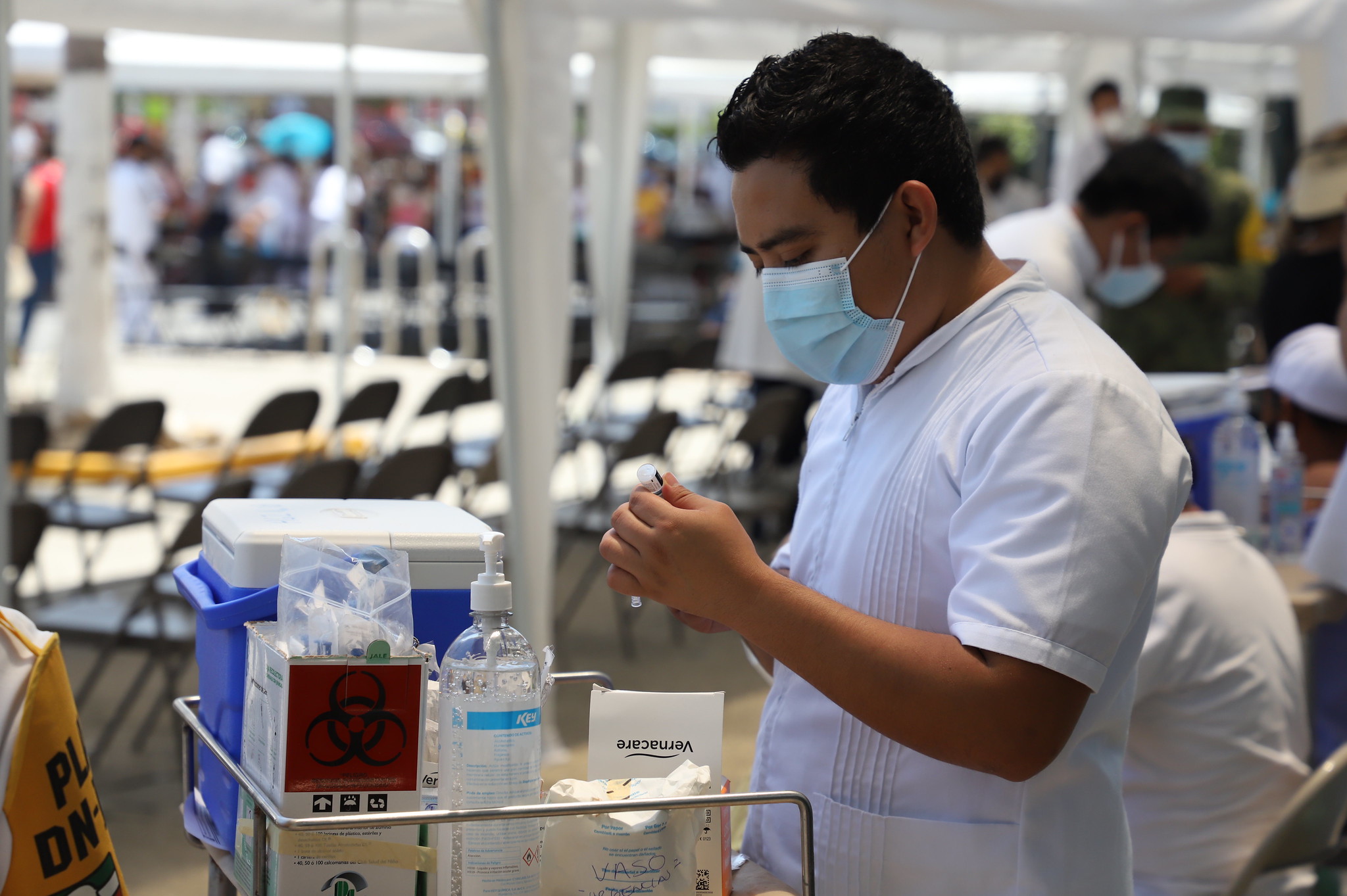 La Jornada Maya Yucatán La Jornada Maya Inicia vacunación anti