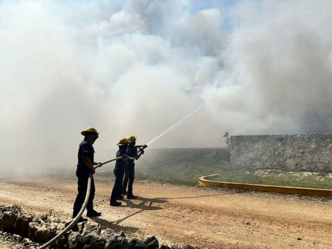 La Jornada Maya Quintana Roo Miguel Améndola Sofocan parte del