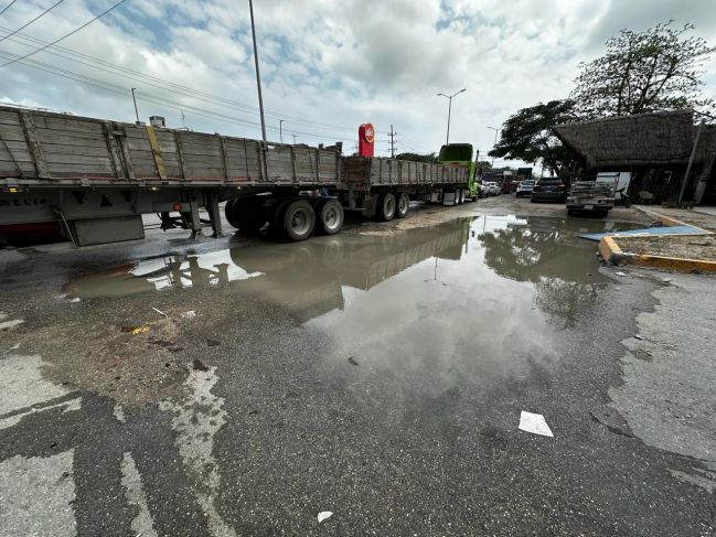 La Jornada Maya Quintana Roo Miguel Améndola Denuncian