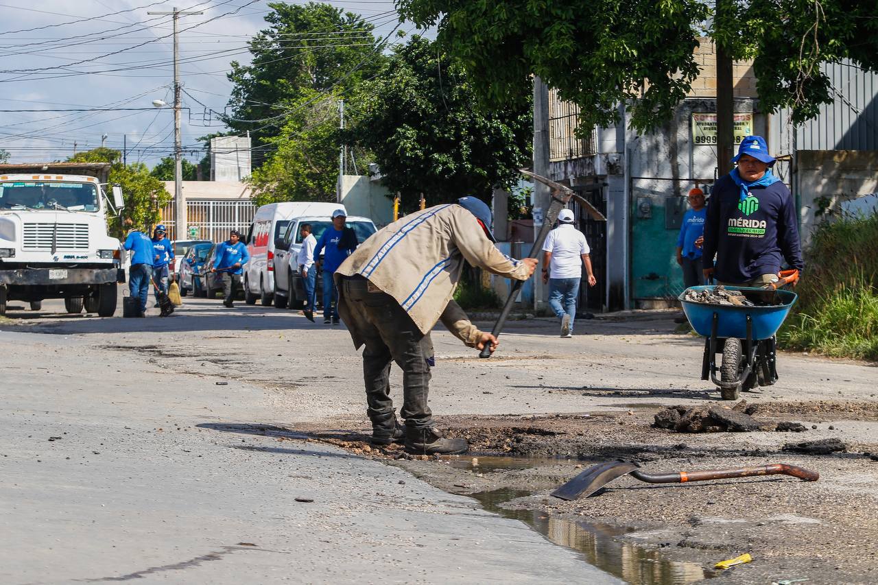 La Jornada Maya Yucatán La Jornada Maya Cecilia Patrón supervisa