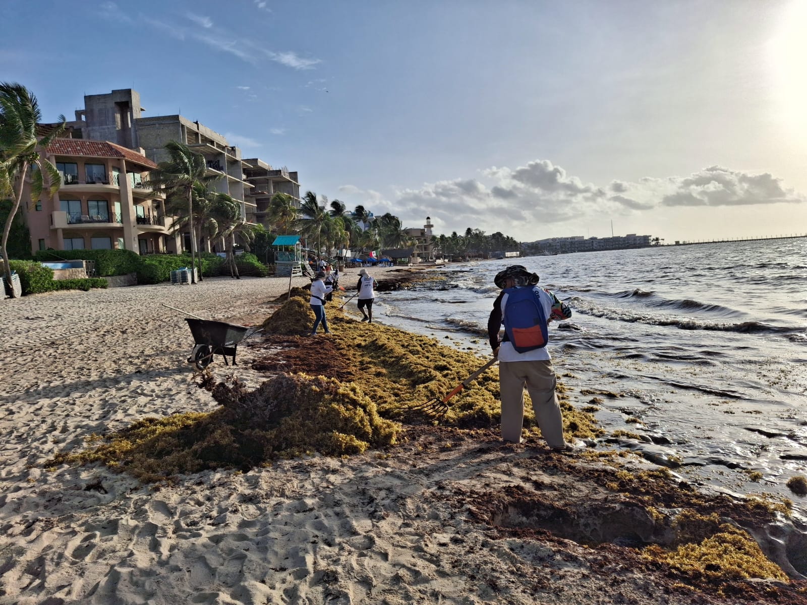 Polo de Economía Circular de Puerto Morelos, importante para atacar recales de sargazo: Coparmex QRoo