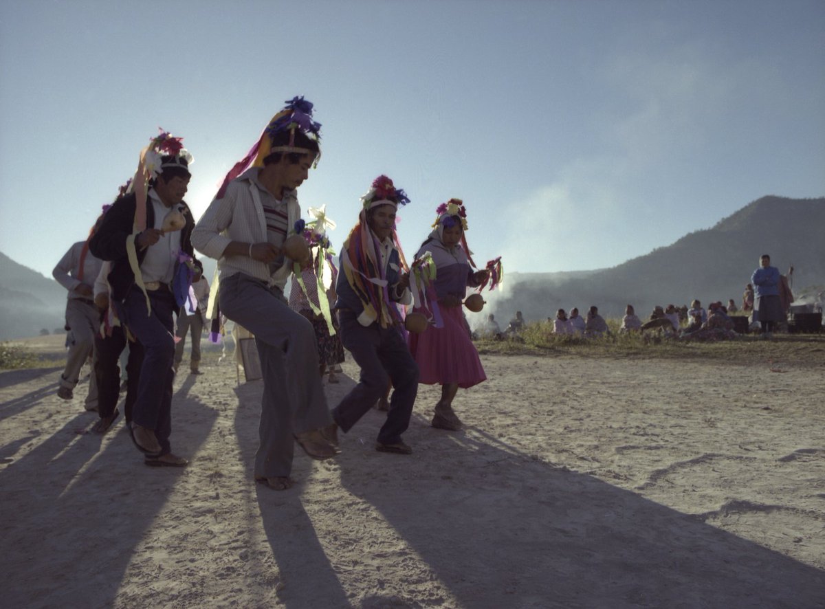 Fallo histórico de la Corte: autoridades indígenas tienen fe pública para registrar nacimientos y defunciones