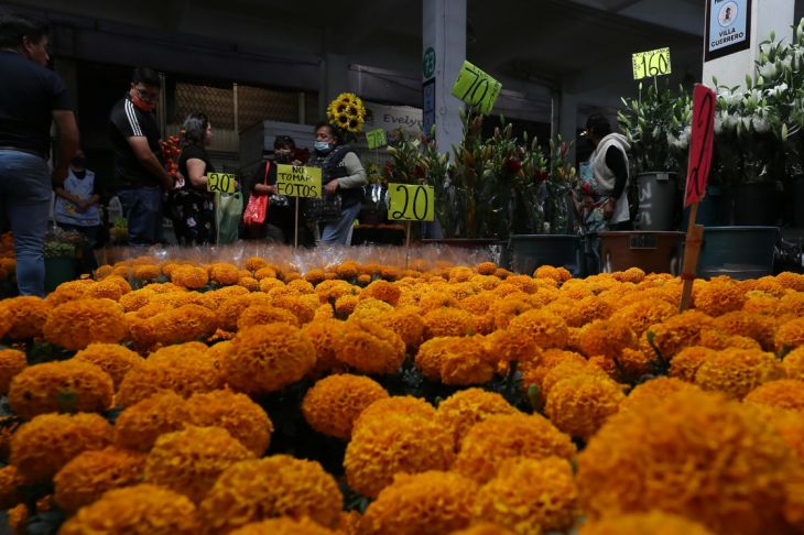 La Jornada Maya | Nacional | La Jornada | México busca denominación de  origen para la flor de cempasúchil