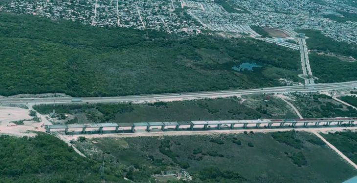 Pondera AMLO pasos de fauna en el Tren Maya