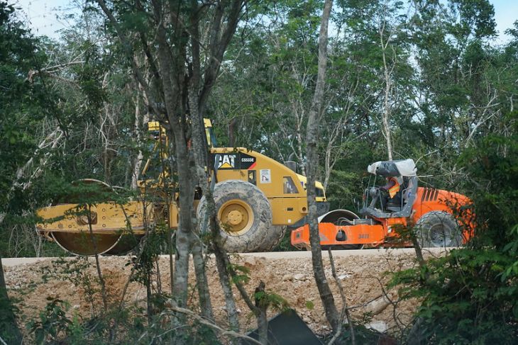 Semarnat contradice a organizaciones sobre fallas en permisos para el Tren Maya