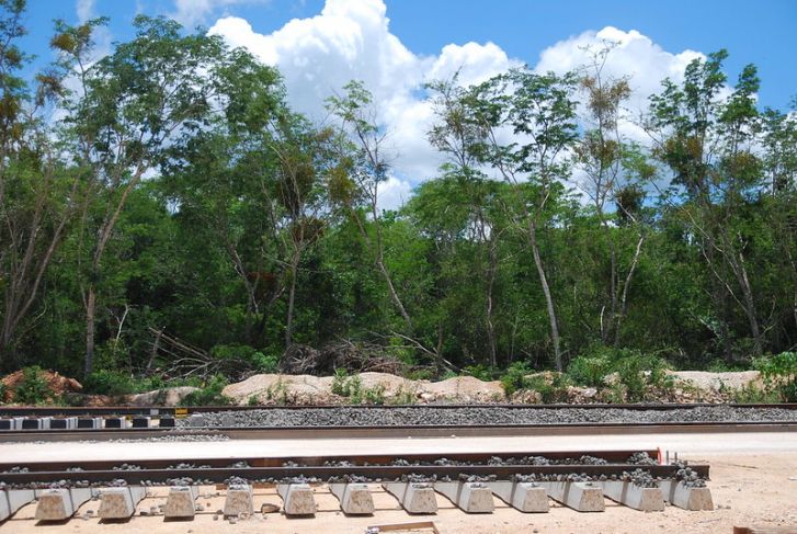 Sedatu anuncia dos nuevas expropiaciones en Yucatán y Campeche para el Tren Maya
