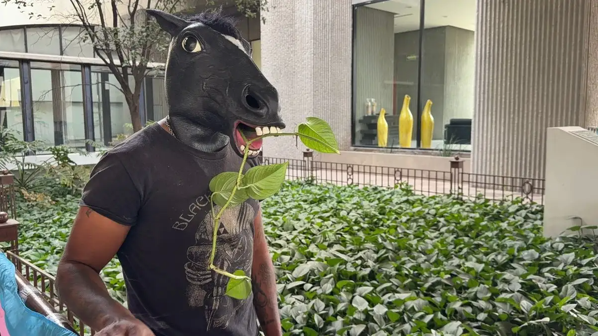 Congreso de Nuevo León recibe propuesta ciudadana de ''Ley Therian'' contra la discriminación