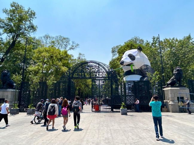 La Jornada Maya | Nacional | Astrid Sánchez | Panda gigante 'invade'  Chapultepec durante Animalística: Festival del Bosque