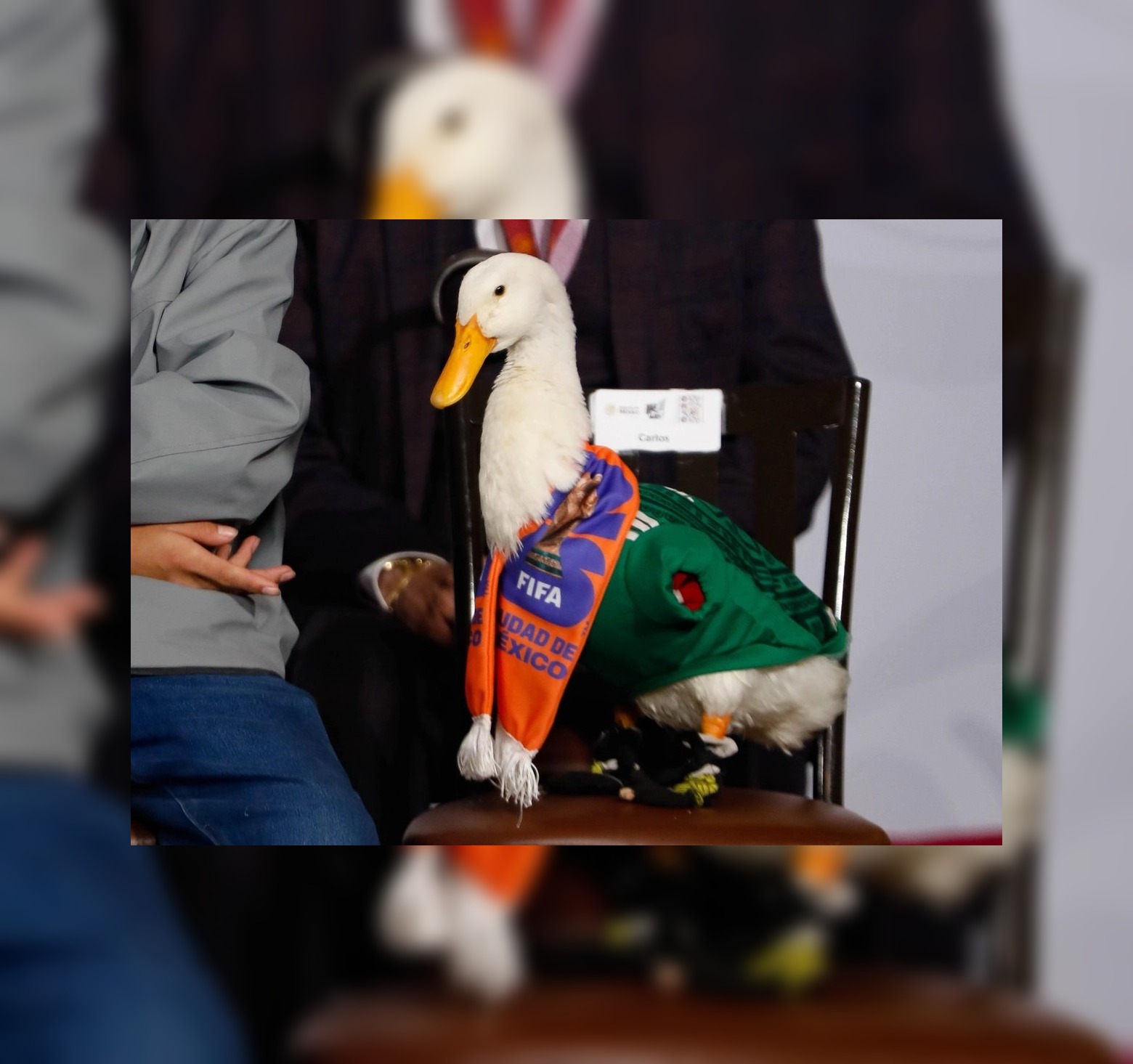 La marca ''pato Merlín'' pertenece a la familia Gómez: IMPI