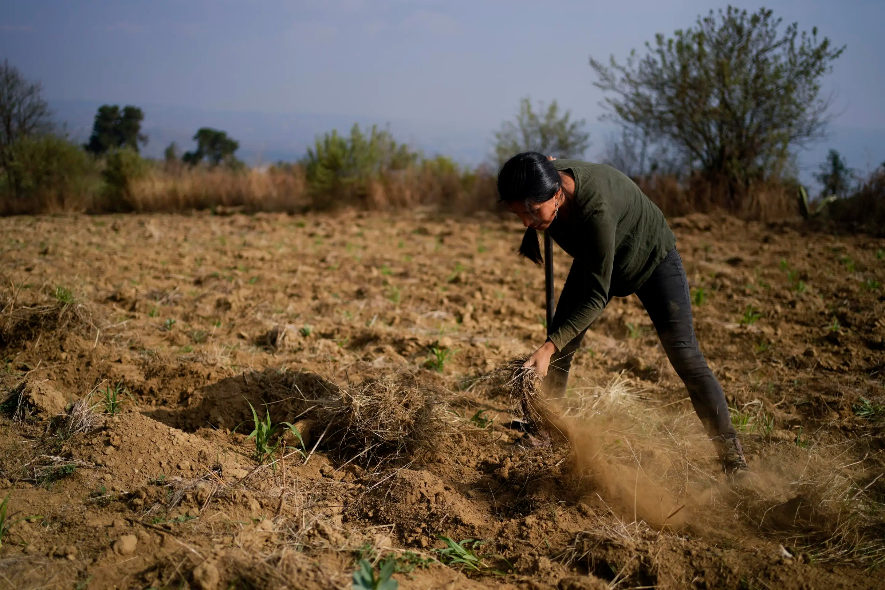 Mujeres rurales carecen de títulos de propiedad de la tierra: Sedatu – La Jornada Maya