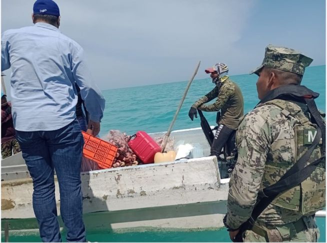 Aseguran más de tres toneladas de productos de pesca prohibida en Yucatán y Campeche en julio