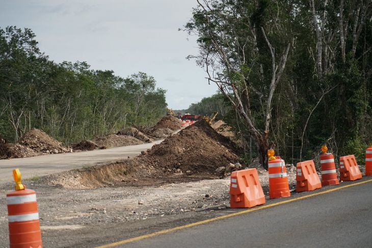Recomienda CCA investigación del Tren Maya por omisiones ambientales
