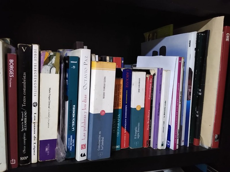 Si baja el precio de los libros, las personas los compran: coordinadora de la Brigada para Leer en Libertad 