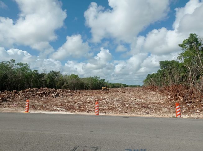 La obra del Tren Maya es absolutamente legal: Fonatur