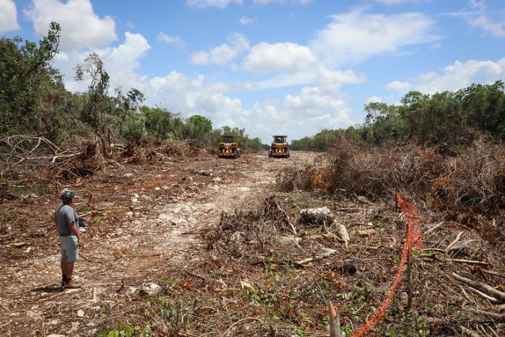 Declaran ''utilidad pública'' terrenos en QRoo para tramo 5 del Tren Maya