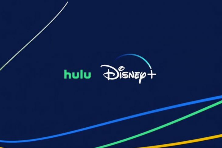 La Jornada Maya Internacional Efe Disney Combinará Disney Y Hulu En Una Sola App Para Eu 2078