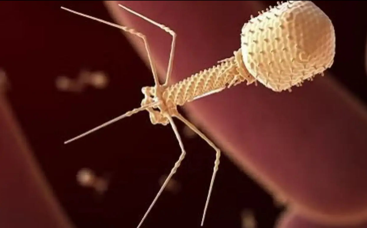 Laboratorio afirma haber inyectado por primera vez un virus diseñado con IA a un humano