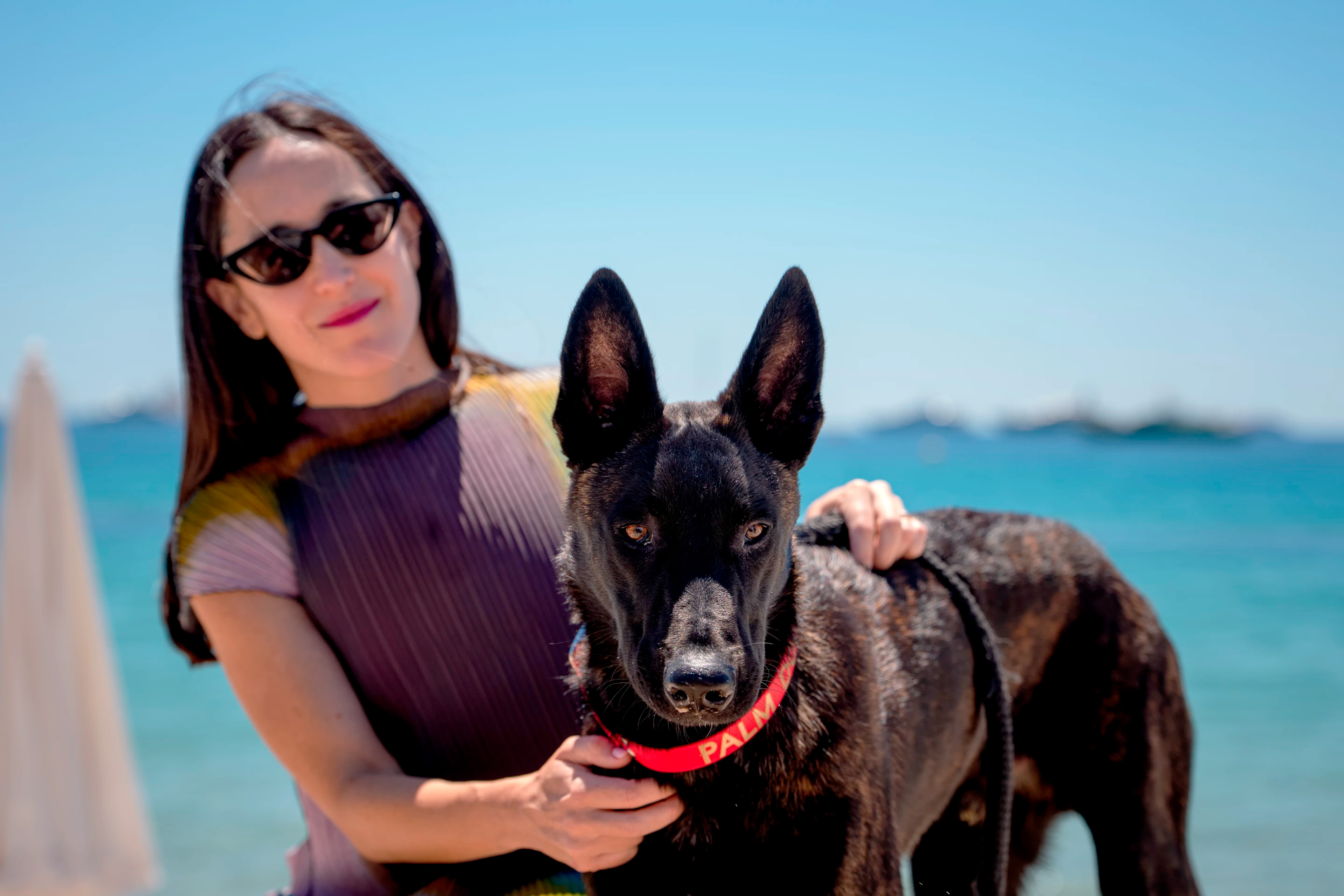 Un aplauso de patas para 'La perra', ganadora del premio Palm Dog en Cannes