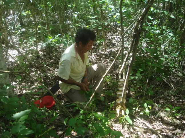Xanlá: una localidad utópica en el oriente de Yucatán