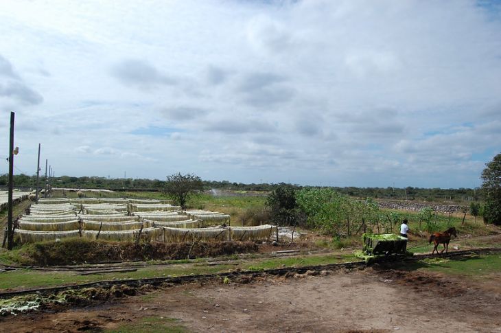 Omne ignotum pro magnifico