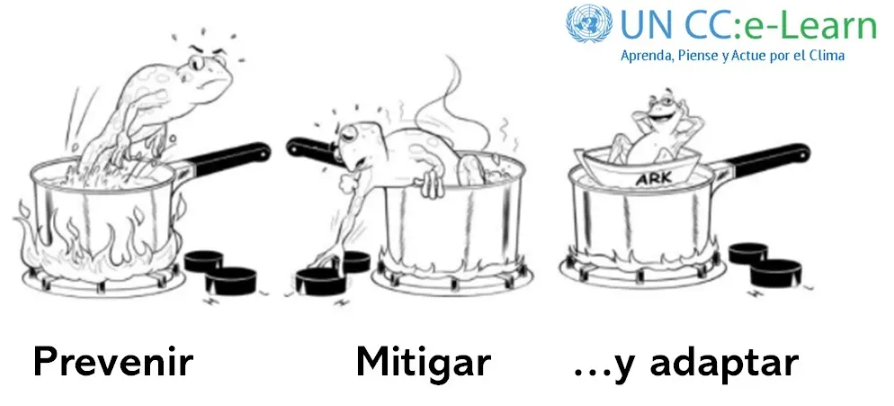 El síndrome de la rana hervida y la construcción de resiliencia climática