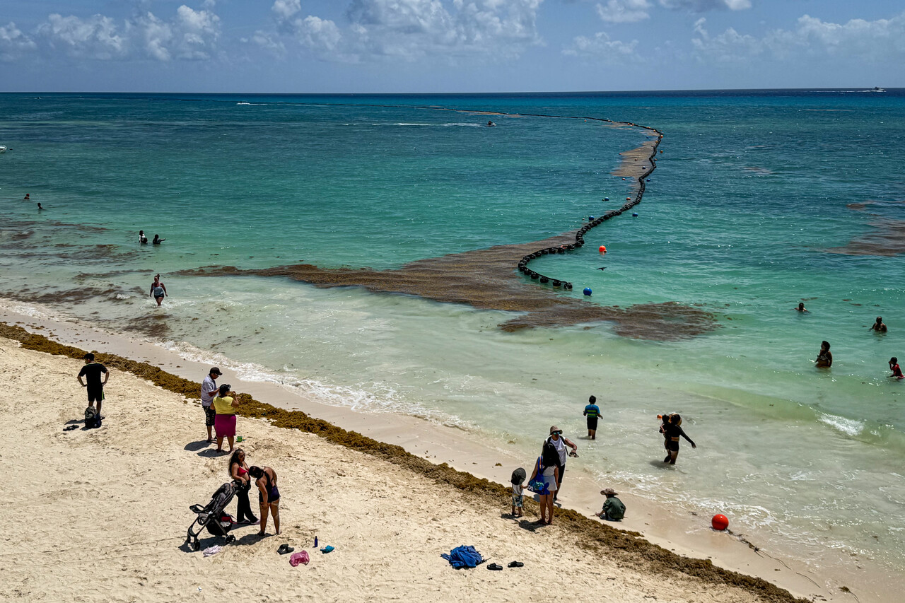 Sargazo: Ciencia y humanismo para convertir la contingencia en recurso estratégico