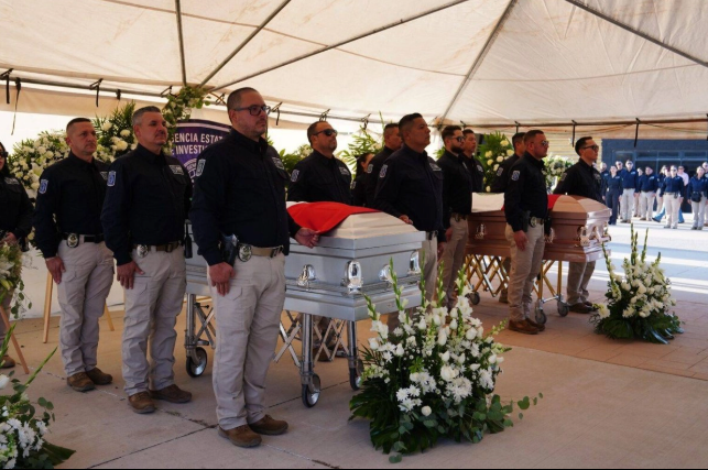 Chihuahua: mucho que explicar