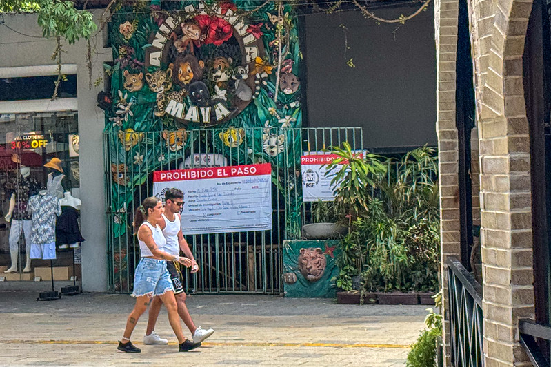 El fin de la mercantilización de la vida: justicia animal en la Quinta Avenida