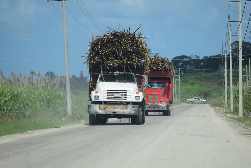 Vías de Carmen no presentan contratiempos a pesar de la convocatoria nacional de bloqueos carreteros