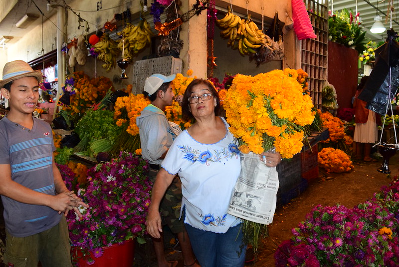 Campechanos abarrotan el Pedro Sainz por los Fieles Difuntos 
