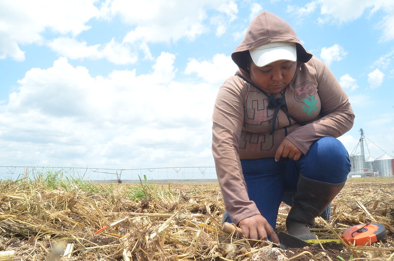 Campeche, sexto lugar nacional en participación de las mujeres en el mercado laboral