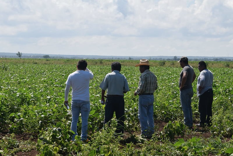 PRI acusa abandono del campo en Campeche por falta de recursos