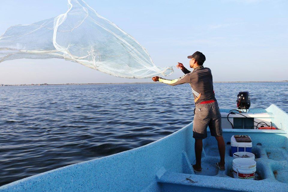 Inició en Yucatán el programa Peso a Peso Pesquero y Acuícola 2020