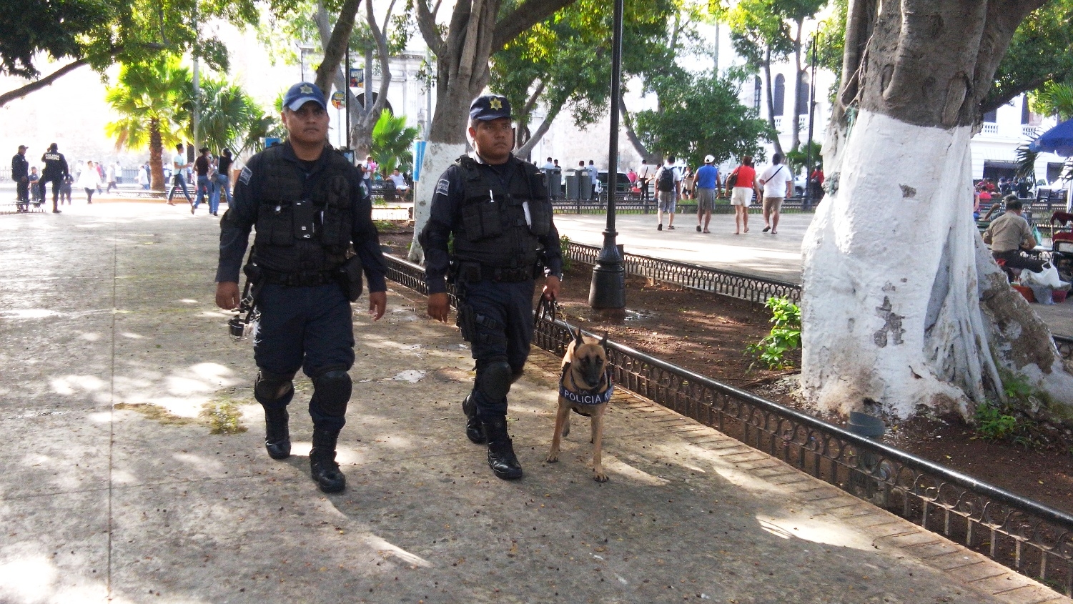 Cursos de desarrollo psicomotriz y cognoscitivo