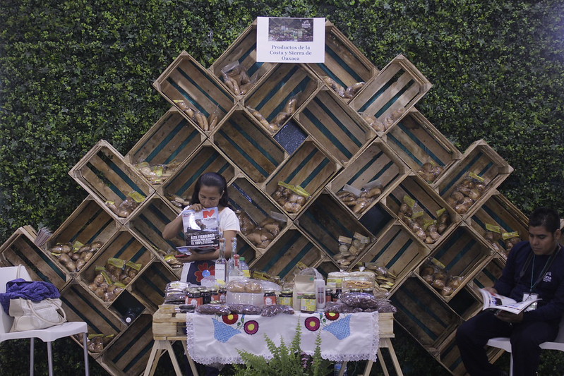 Agricultores anuncian paro nacional por falta de acuerdos con el gobierno mexicano