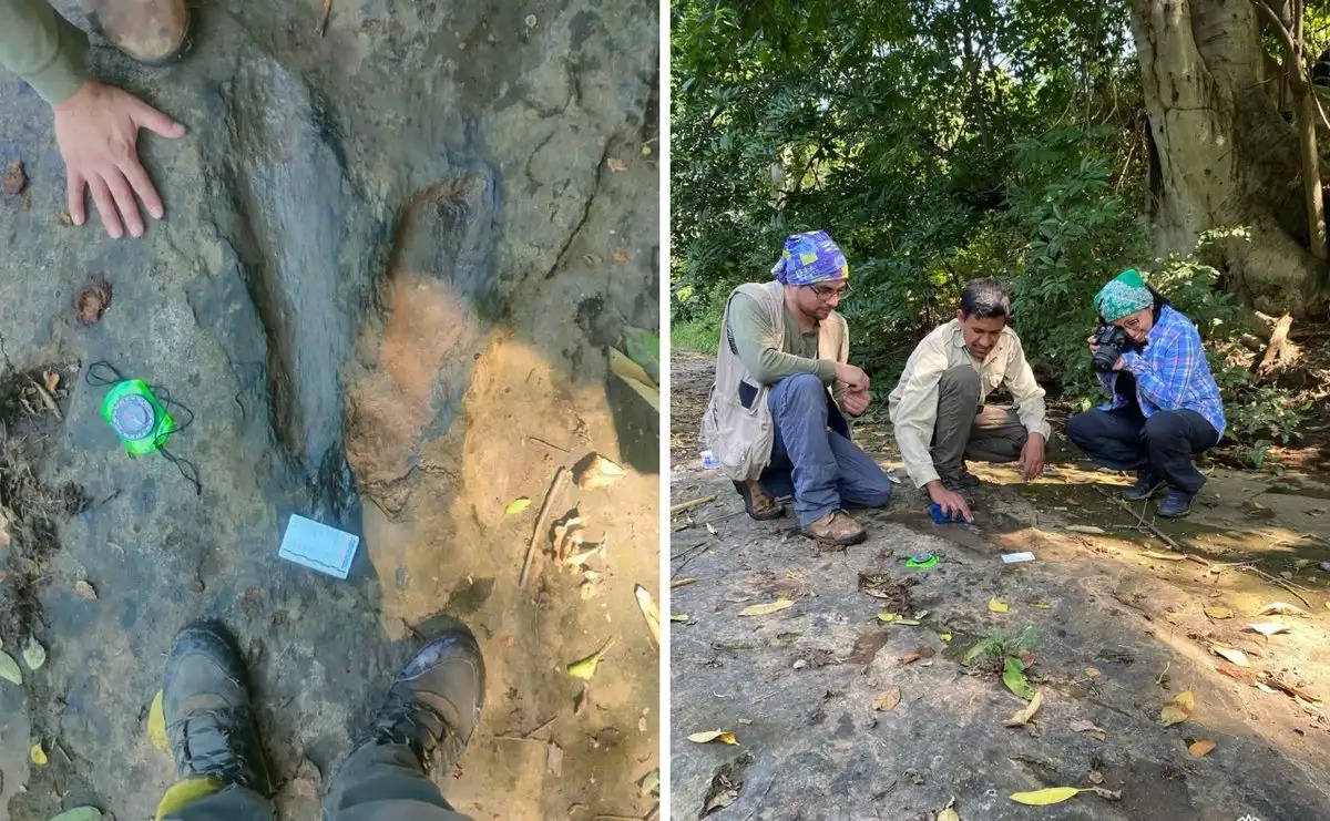 INAH confirma hallazgo de 50 huellas de dinosaurios en Michoacán: tiranosaurios, raptores y dinosaurios 'pico de pato'