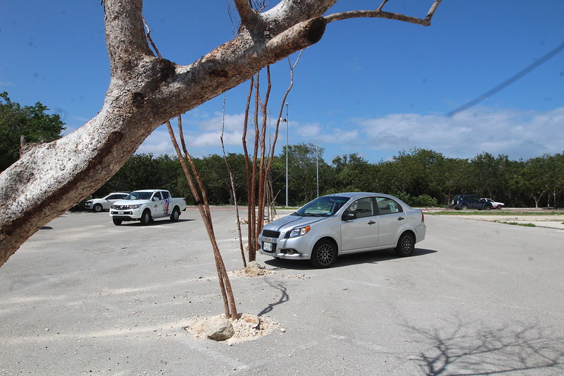Faltan espacios para estacionamiento en Carmen