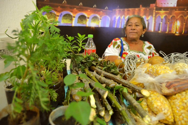 Promueven ventajas competitivas de Yucatán ante líderes de la industria alimentaria