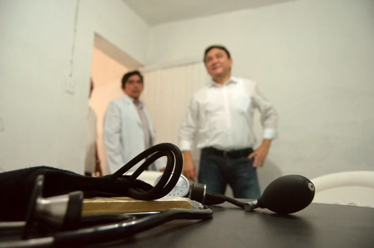 Equus ferus caballus