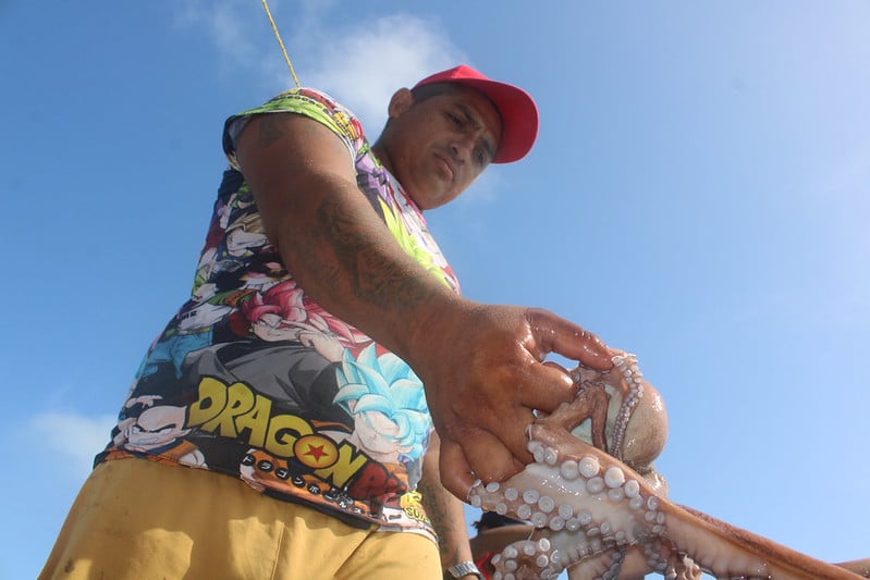 Sader establece volumen de captura máximo de pulpo rojo en Campeche y Yucatán: 28 mil toneladas