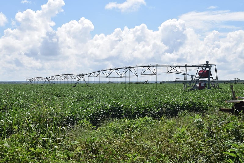 Campo campechano, otra opción para detonar Carmen: especialista