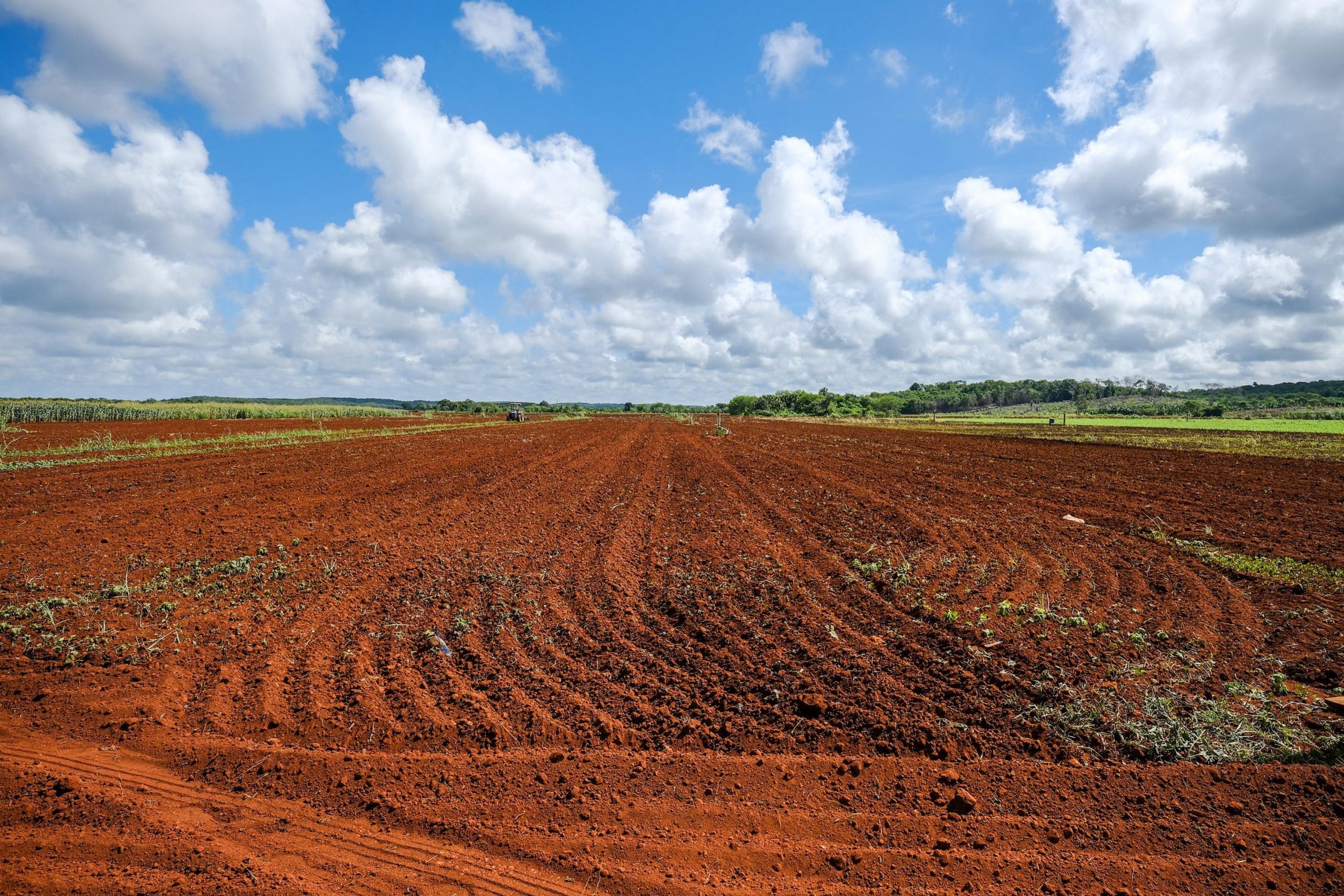 Playa del Carmen fortalece al campo con acciones sustentables y apoyo directo a productores