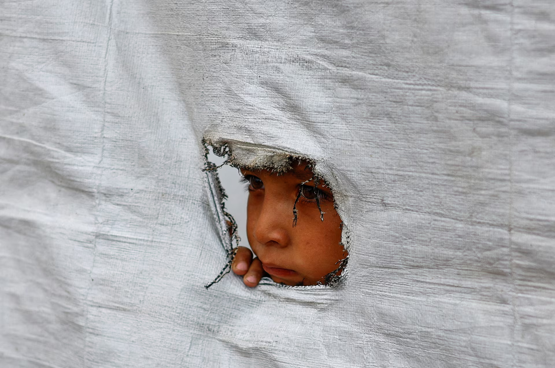 Infancia y genocidio en Palestina