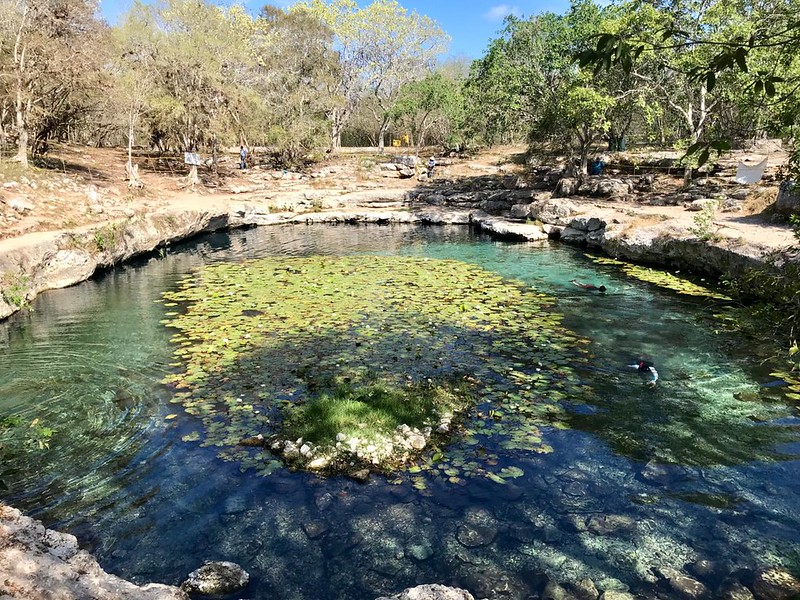 Proponen proteger más de 2 mil 500 cenotes de Yucatán