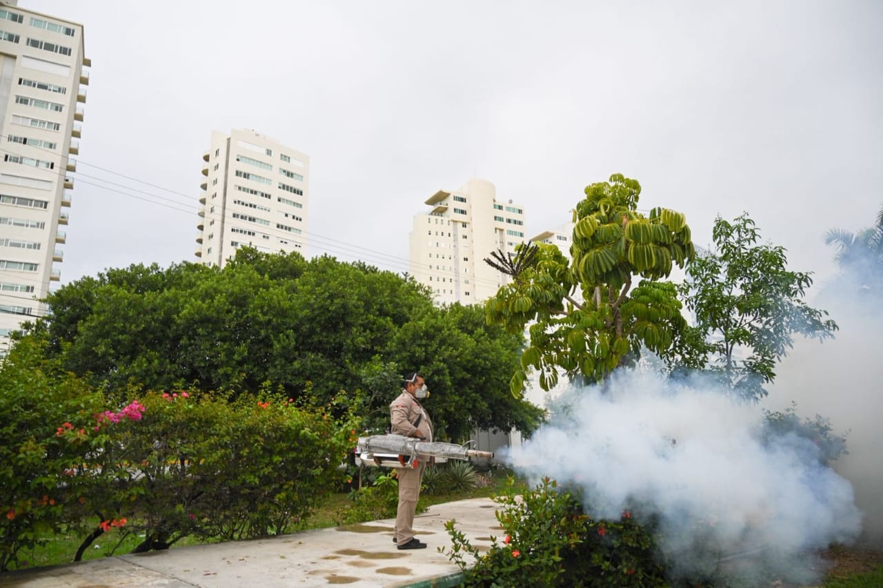 Exhortan a ciudadanos de Quintana Roo a evitar contagios de dengue