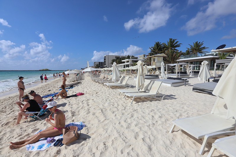 Semarnat tiene bajo consulta pública dos proyectos para Quintana Roo