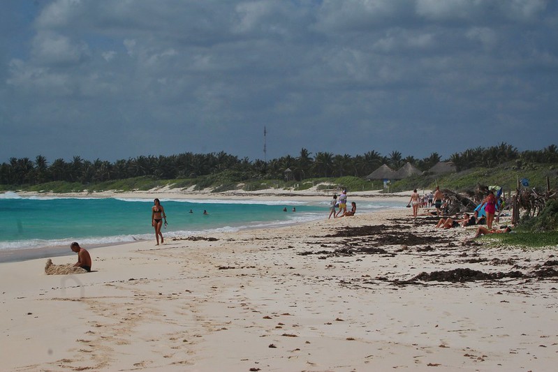 Xcacel-Xcacelito se consolida como uno de los santuarios naturales más importantes del Caribe Mexicano: Sema